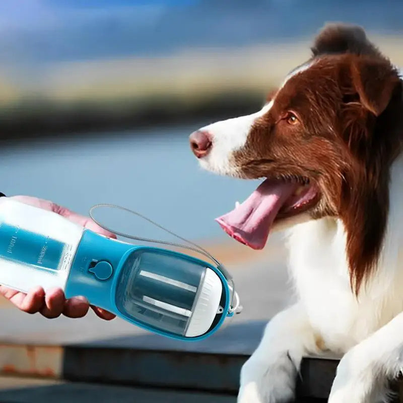 PetZa™ – The All‑in‑One Pet Care Companion