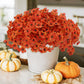 BloomEase™ – Realistic Autumn Artificial Flowers